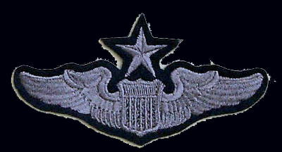 Air Force Wings Would like Senior Command Wings. Anyone?